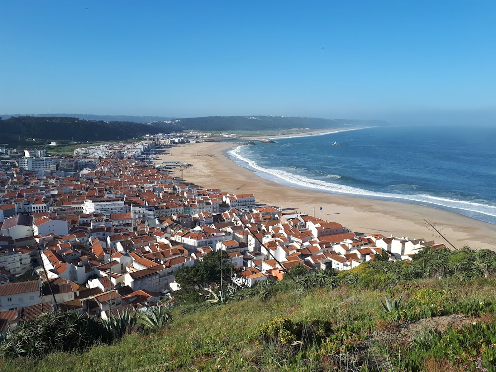 Maya Gabeira: Return to Nazaré : 