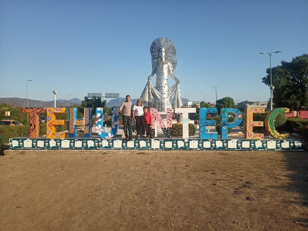 Inauguración del trafico internacional de Tehuantepec : 