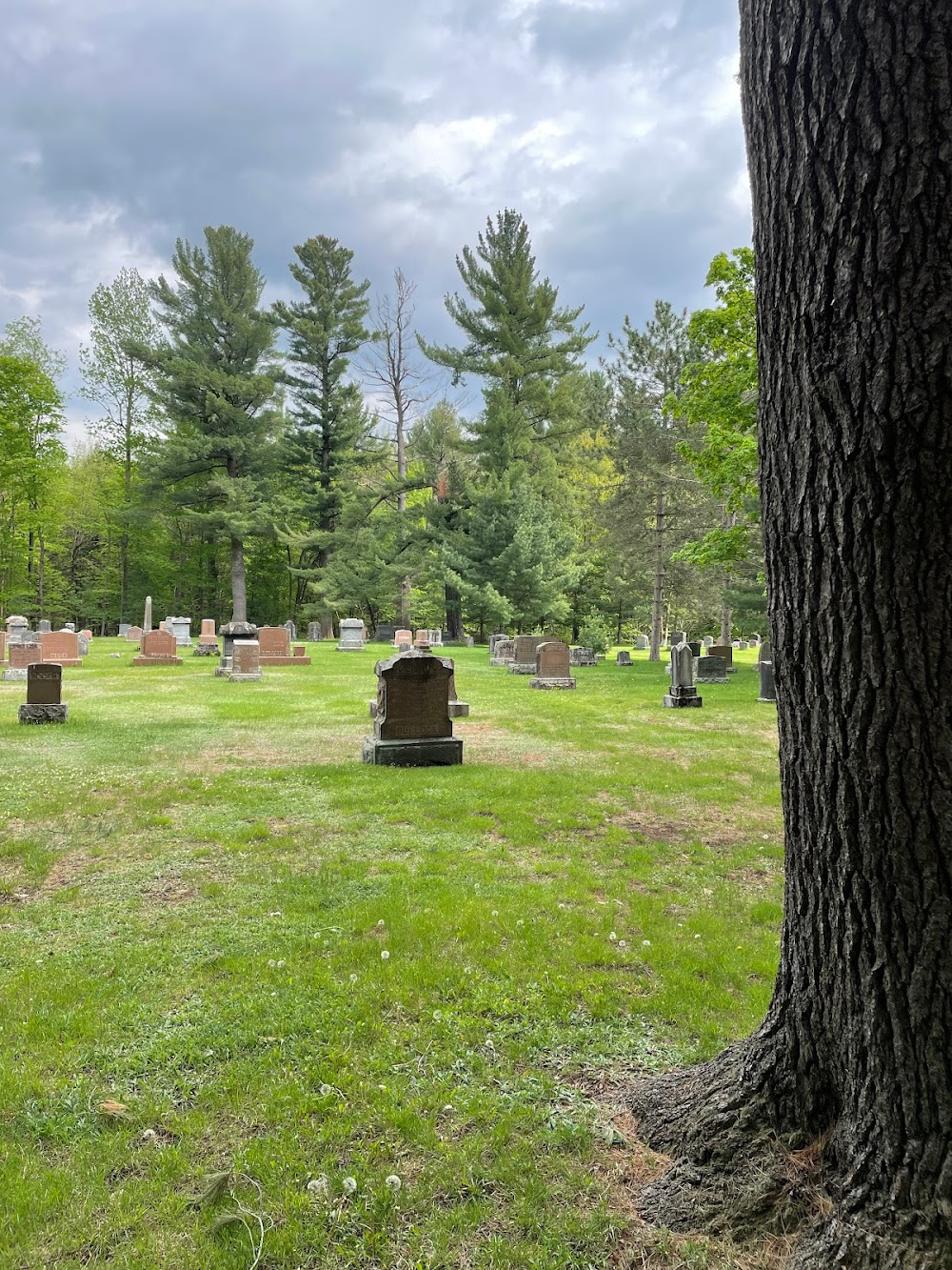 Qu'est-ce qu'on fait ici? : Cemetery scenes