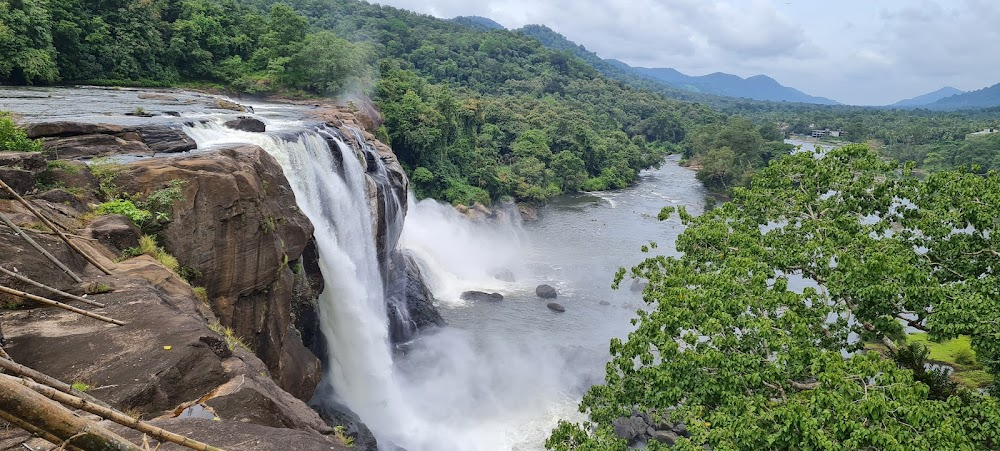 Jungle Love : waterfalls