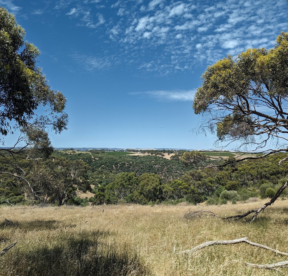 Rabbit-Proof Fence : Moore River Native Settlement