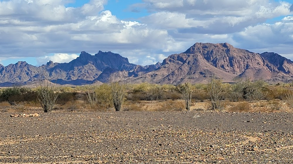 Hondo and the Apaches : 