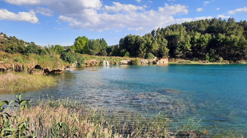 Re-emigrantes : Lago