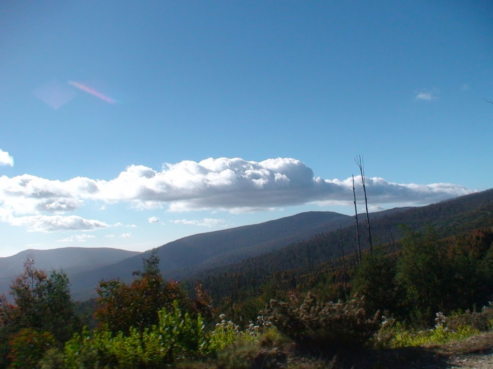 The Silver Brumby : location: Mount Hotham