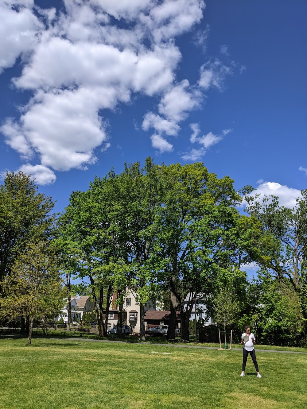 Red Oaks : Public tennis courts