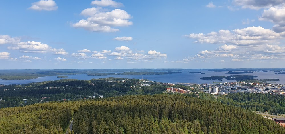 Pyhän Olavin linnasta kalakukkojen kaupunkiin : 