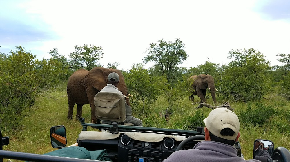 Rhino Man : The reserve Anton Mzimba and his team protects