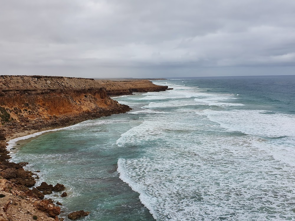 The Nullarbor Nymph : 