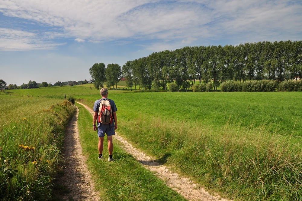 Paix sur les champs : the village and surroundings Castle of Ter Rijst