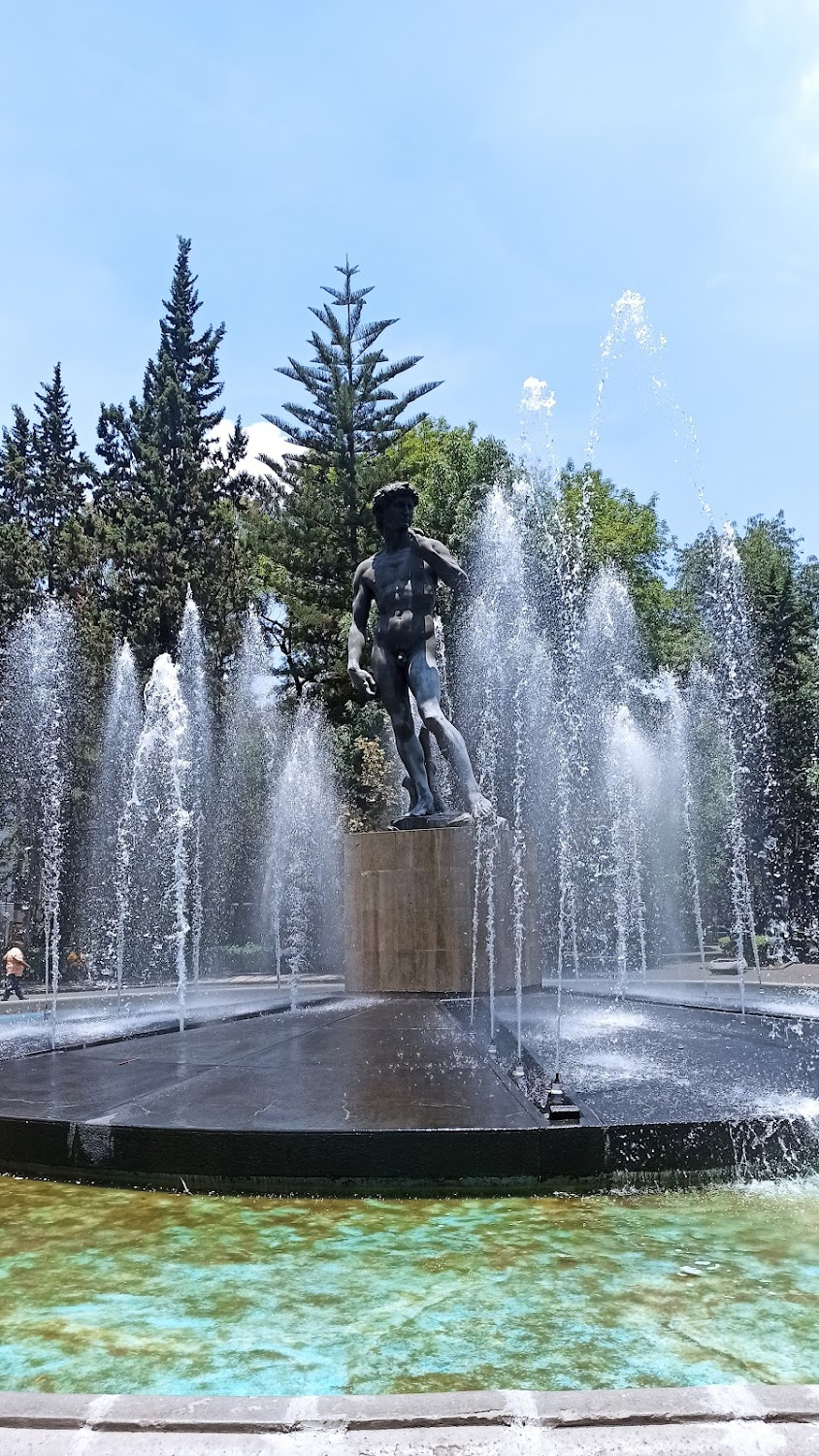 Rotting in the Sun : Sebastián reads a book by the fountain during the opening scene.