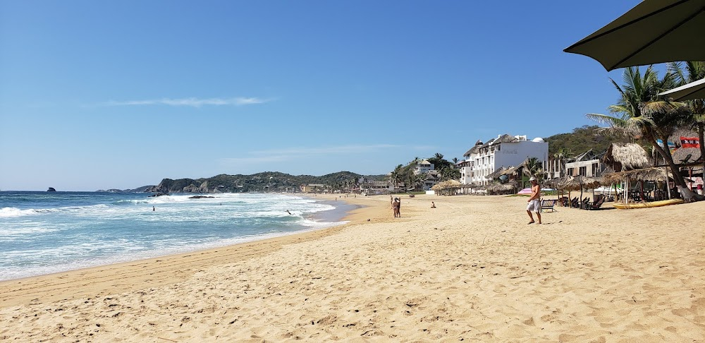 Rotting in the Sun : beach scenes