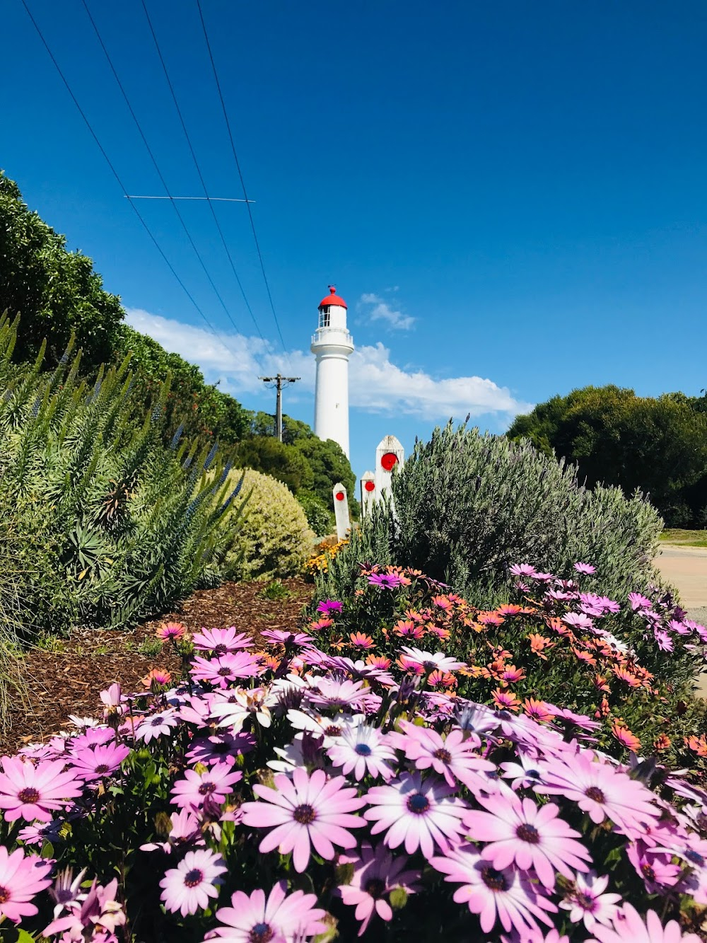 Round the Twist : 