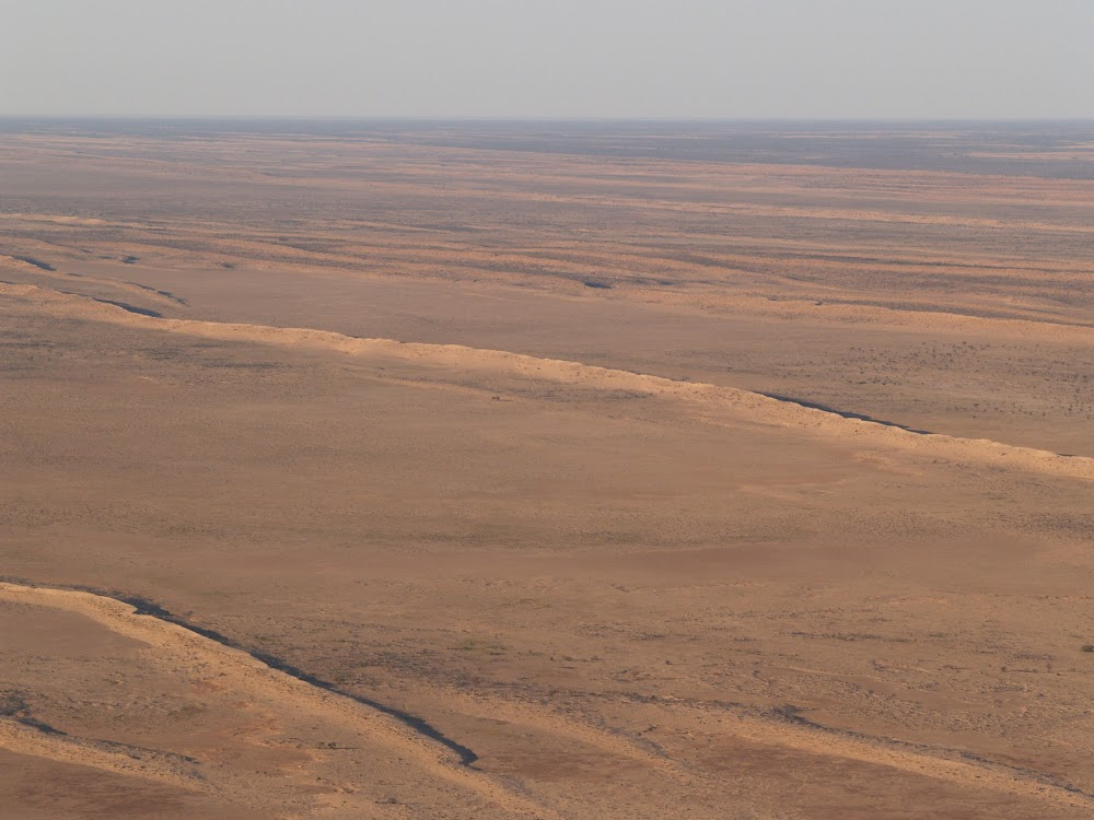 Running Wild: Australia's Camels : 