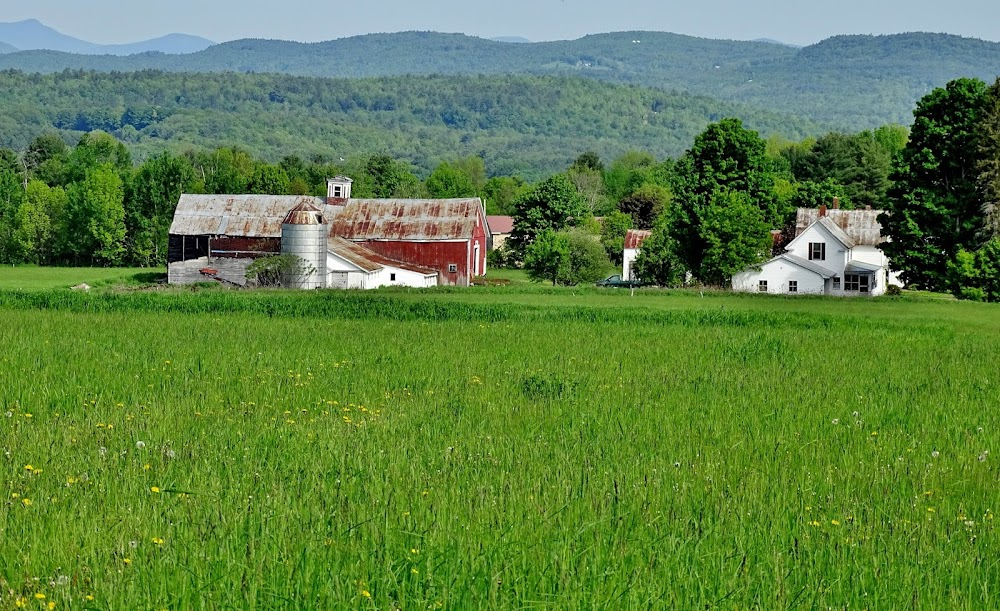 Rural Life in Maine : 