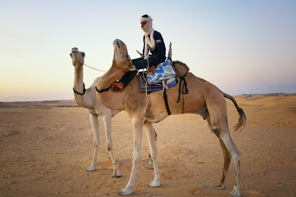 Sahara d'aujourd'hui : 