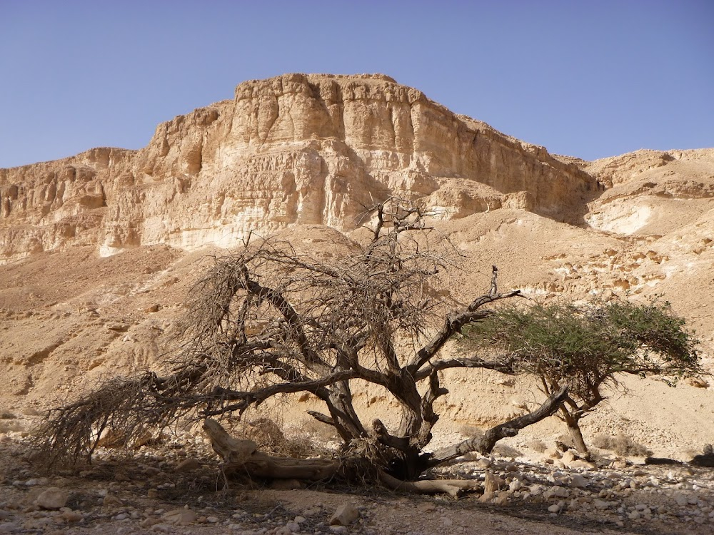 Flight to Israel : 