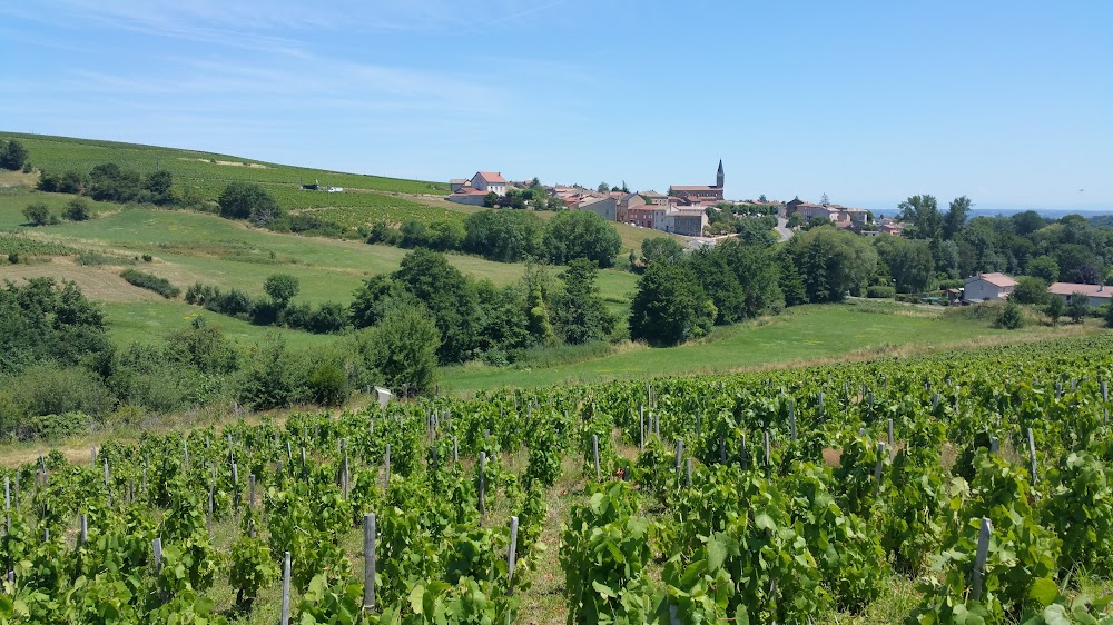 Saint Amour : village in Burgundy