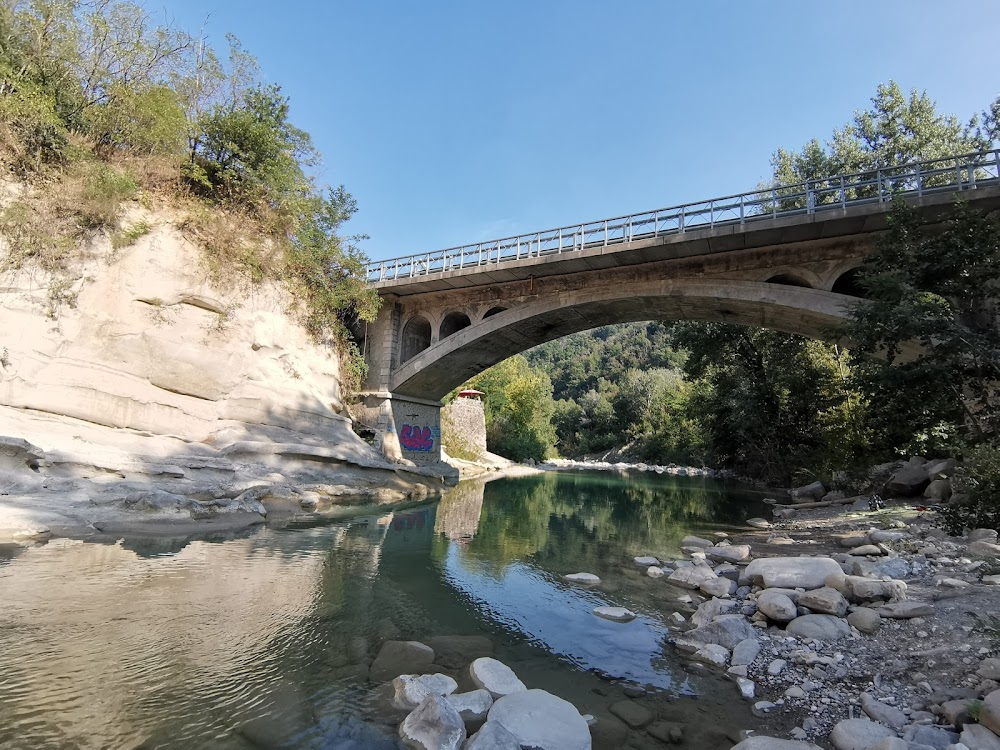 Salò o le 120 giornate di Sodoma : 