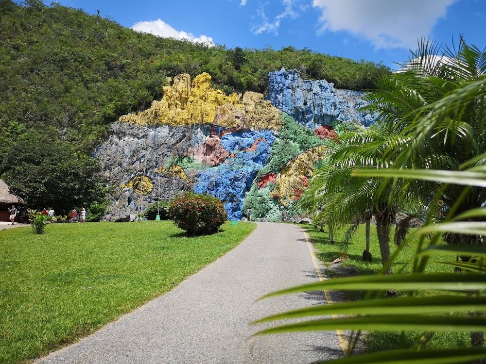 Salut les Cubains : Leovigildo González Morillo working on his mountain mural