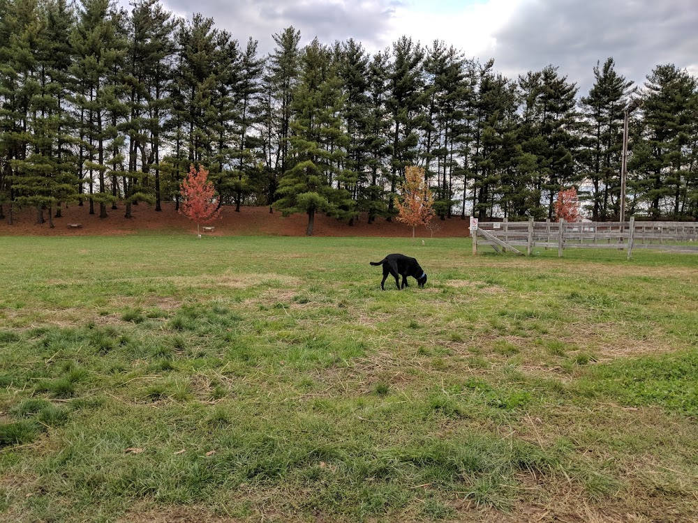 Salvage : Claire waiting Jimmy to pick her up but Duke picks her up instead