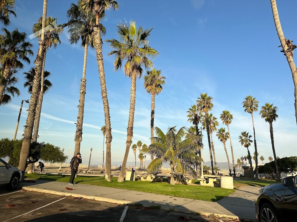 Santa Cruz: Wheels of Fire : Natas Kaupas street skating and curb scenes