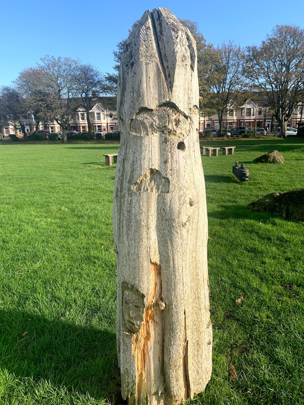 Seagull : Playground Scenes