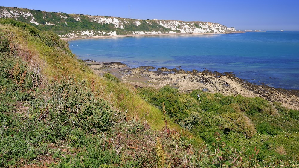 Seagull : Cliff Scenes