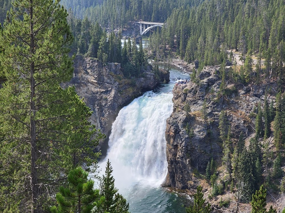 Yellowstone Park: 'Nature's Playground' : Lower Yellowstone Falls