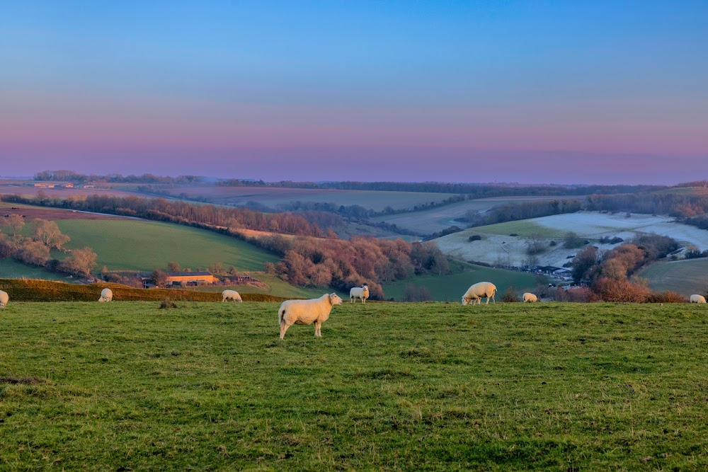 Seven Ages of Britain : on location