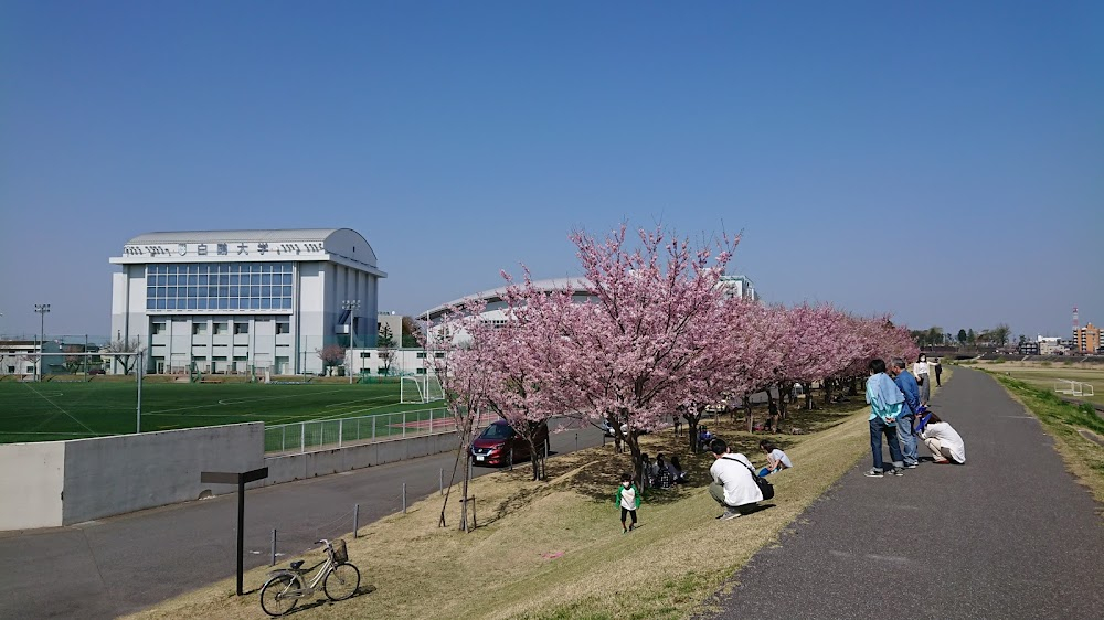 Shigatsu monogatari : location