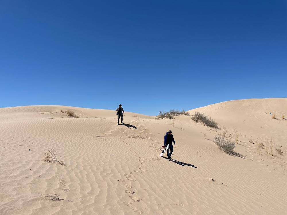 Simón del desierto : Desert