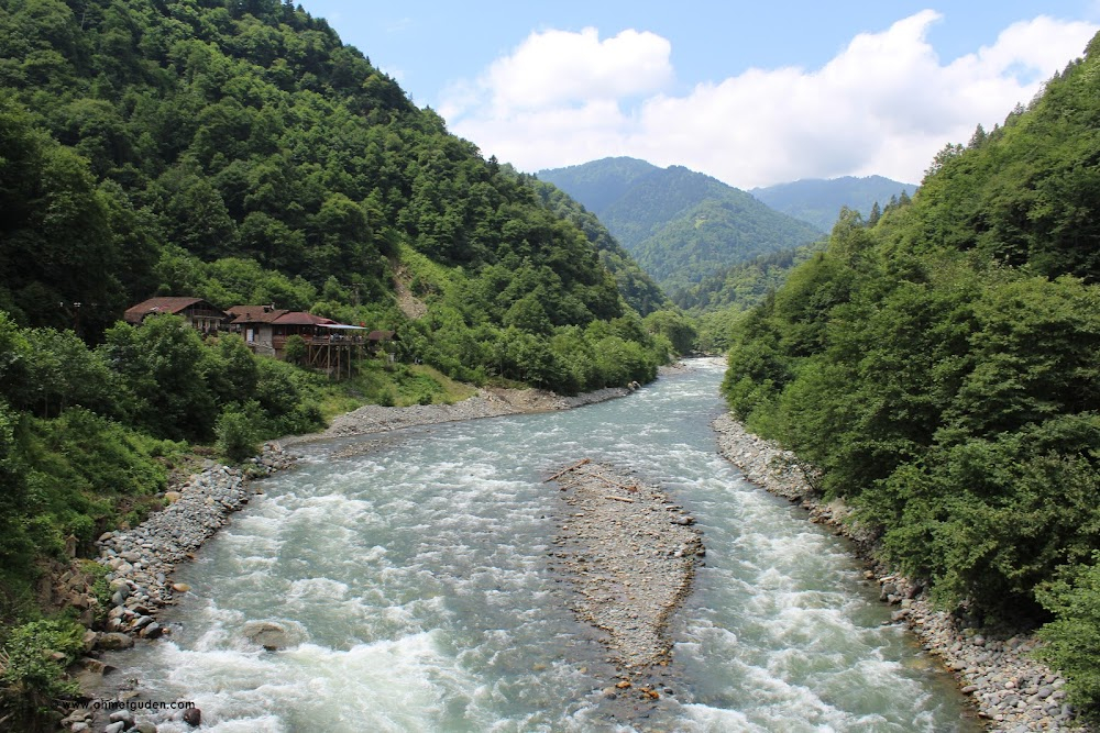 Sirtlarindaki Hayat : 