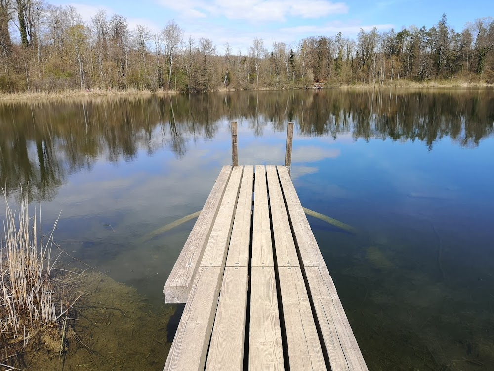 Sitting Next to Zoe : lake