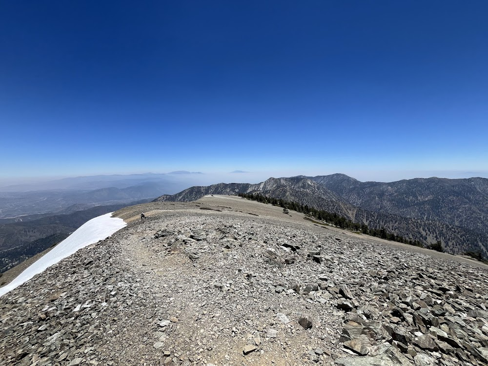 Snow Birds : snow capped peak seen from orchard, aka Mt. Baldy