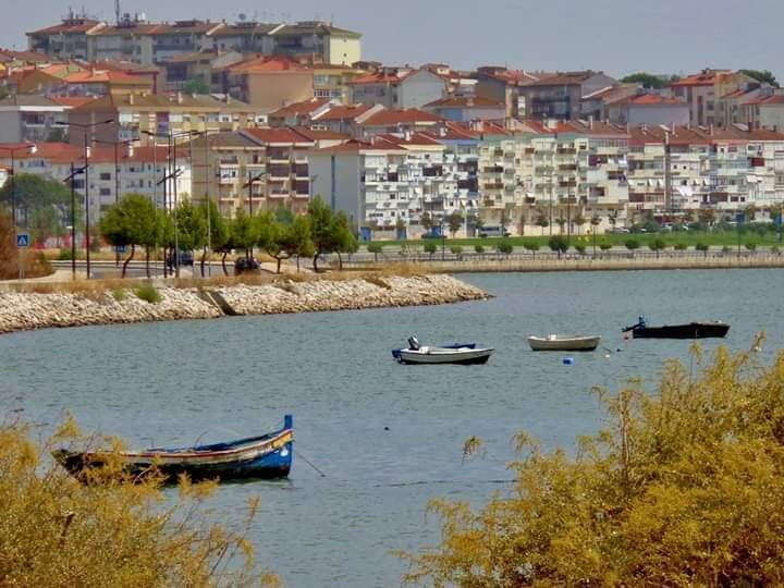 A Raiz da Margem (Following the Tide) : 