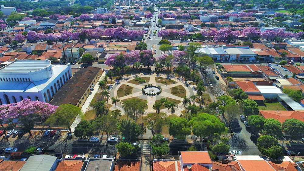 Bello: O Rei do Futevôlei : 