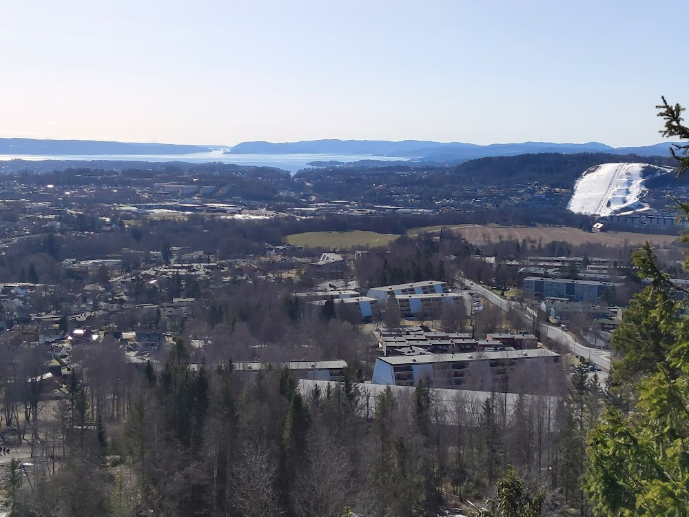 Sønner av Norge : 