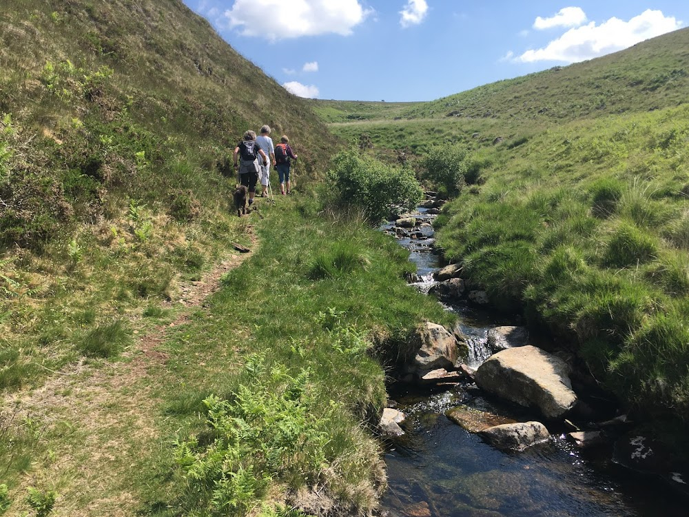 Stag Hunt : Jan B Kingshott