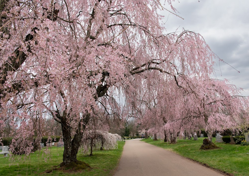 Glimpses of Kentucky : 