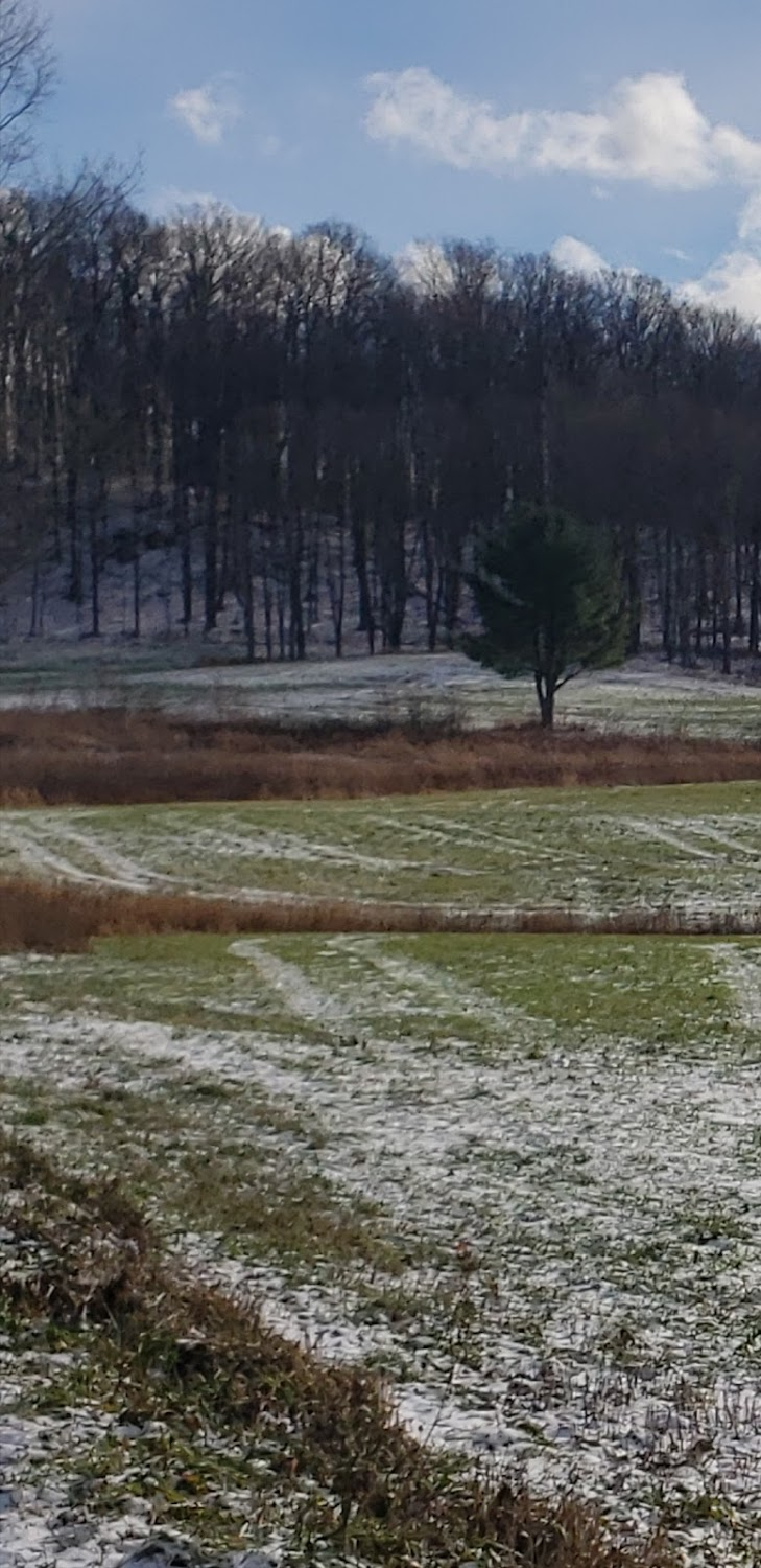 Still Life: A Three Pines Mystery : 