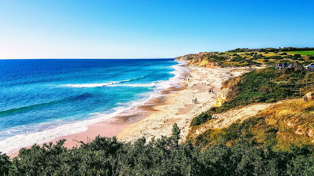 Hunt for the Great White Shark : location: Aldinga Beach