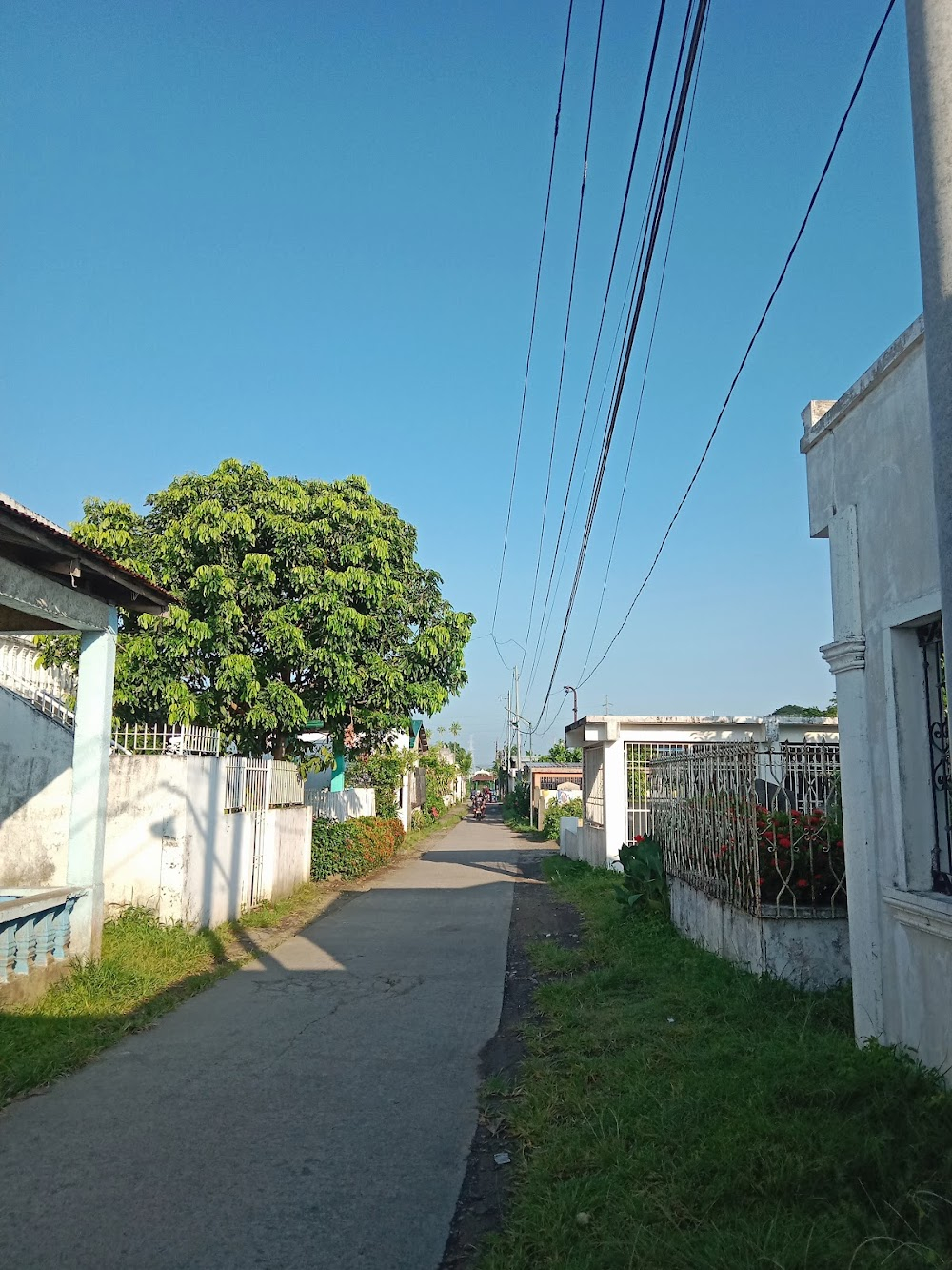 Sugo ng Tondo : cemetery