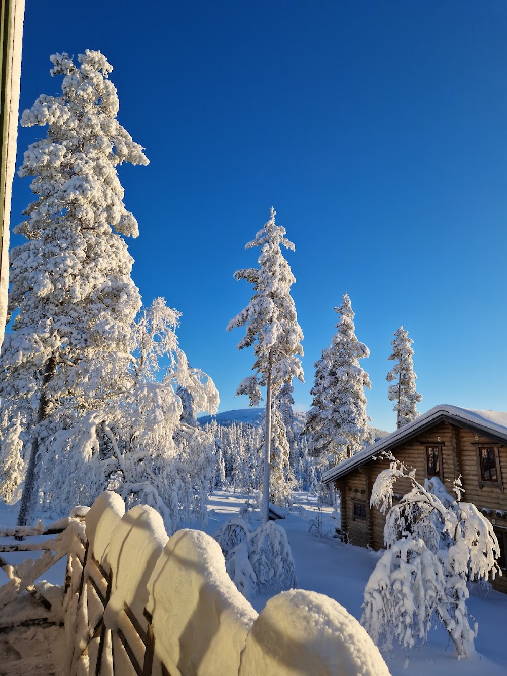 Kungen av Dalarna : Vasa Race start