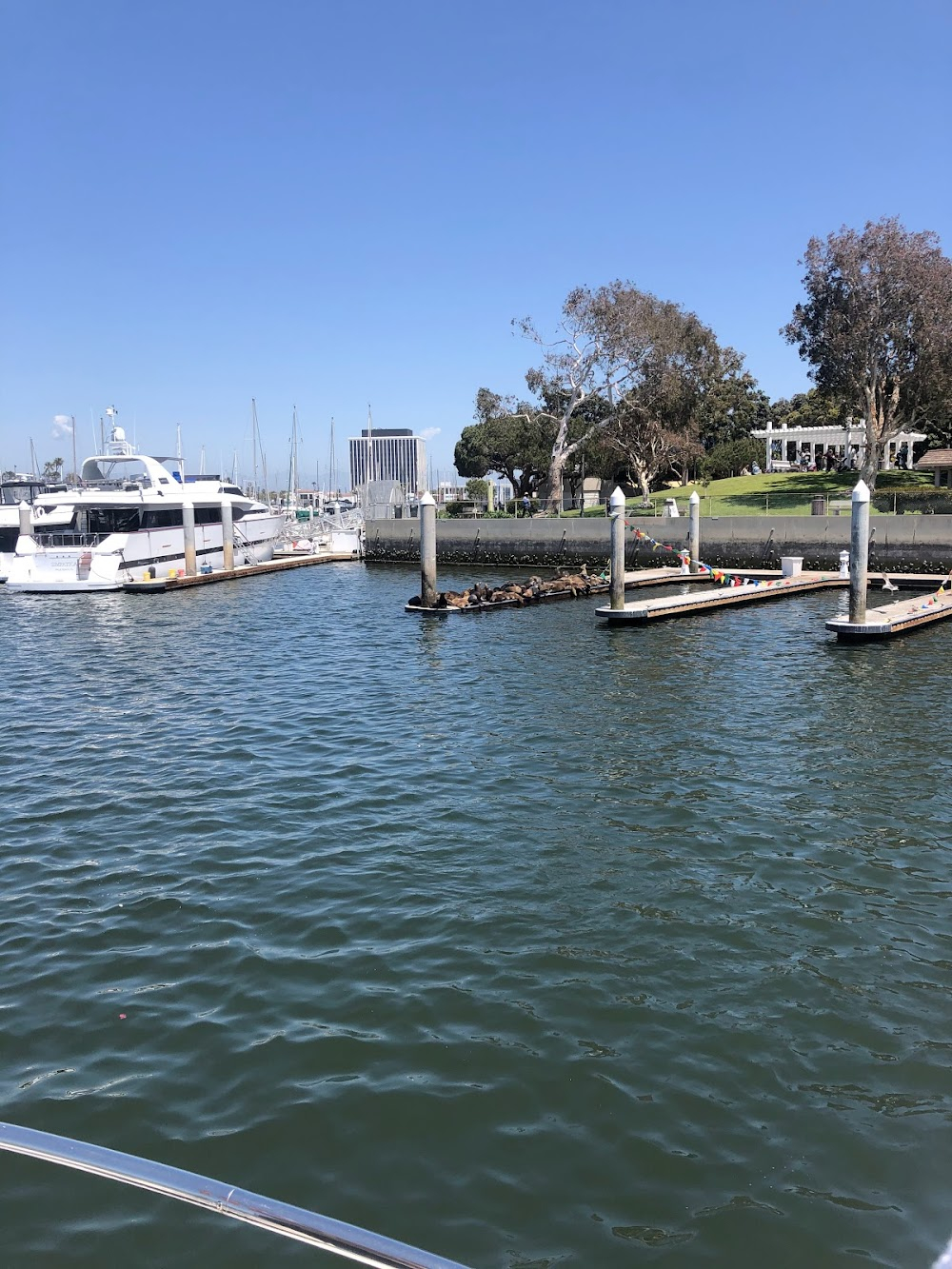 The Young Nurses : numerous shots of boat slips and activity on the water