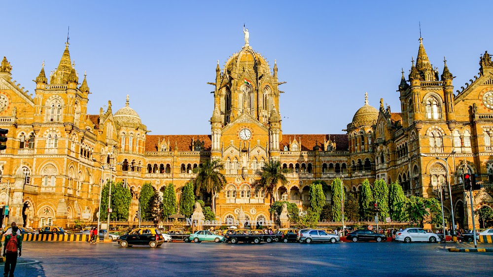 Surviving Mumbai : 