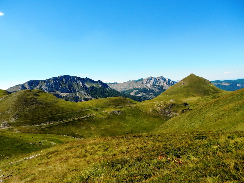 Sutjeska : 