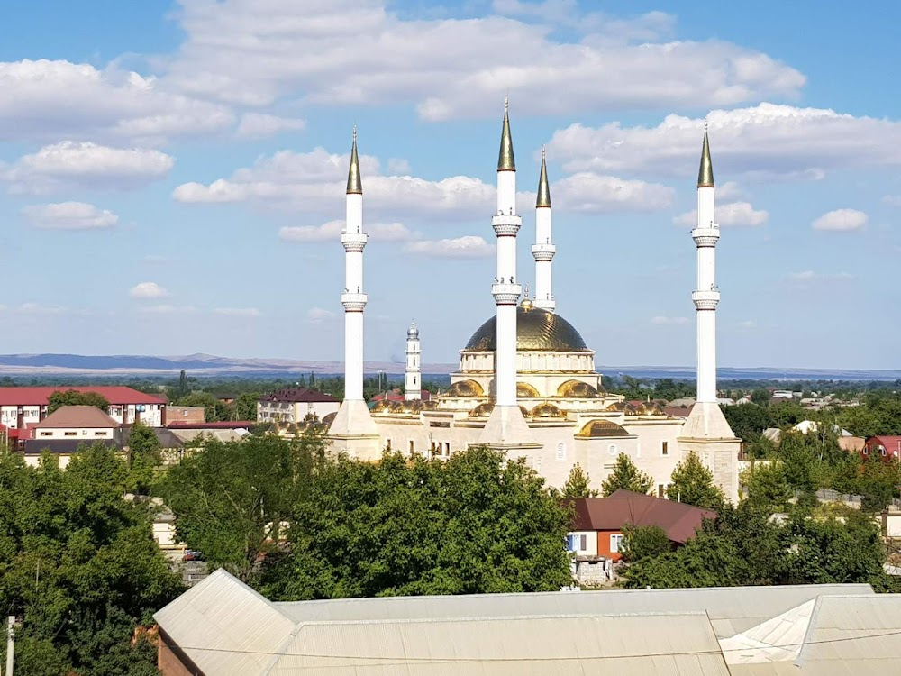 Svoy sredi chuzhikh, chuzhoy sredi svoikh : 