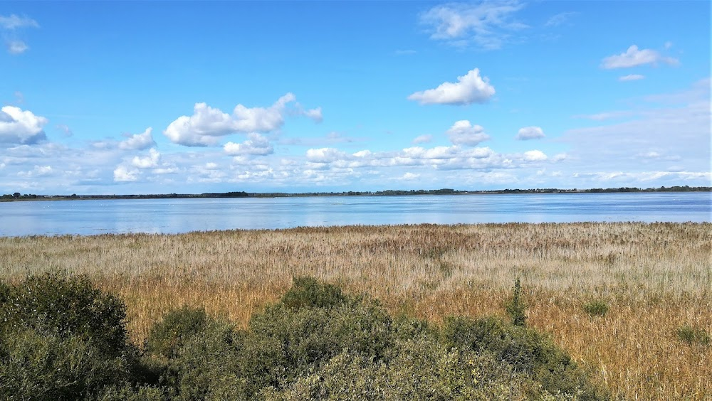 Szalenstwo Majki Skowron : lake