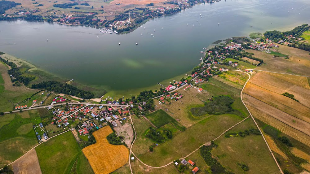 Szalenstwo Majki Skowron : 