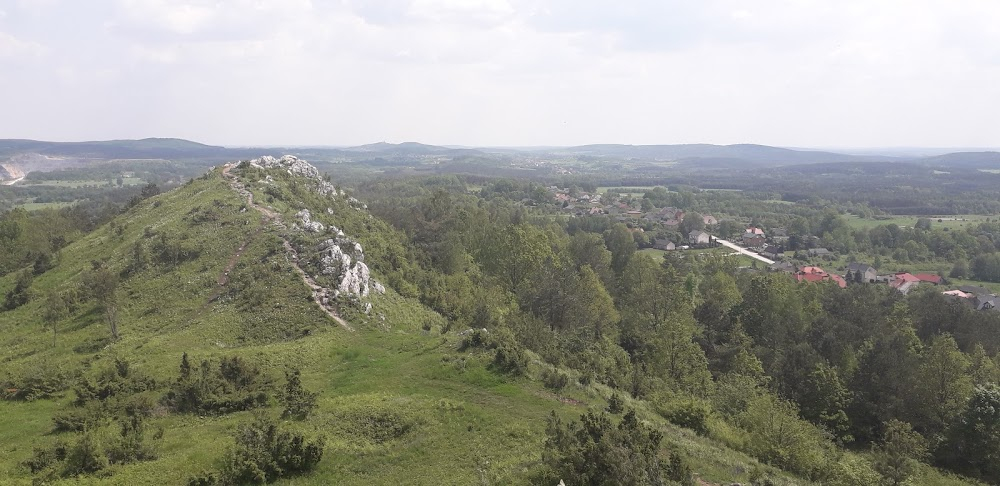 Tajemnica dzikiego szybu : copper mine